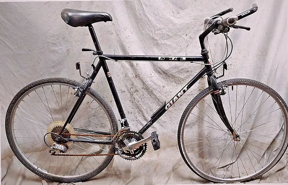 Giant Commuter Bike
