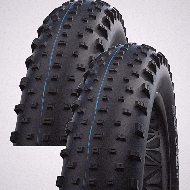 2 Pack Schwalbe Jumbo Jim Tire 26 x 4.8 Tubeless Folding Black Evolution