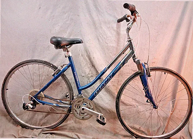 2010 Giant Cypress Comfort Hybrid Bike 19" Large Hardtail StepThru Aluminum Cafe