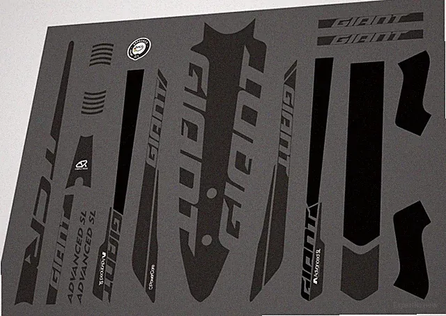 Bicycle Vinyl Stickers – Fits GIANT TCR Advanced SL Bike Frames – Black