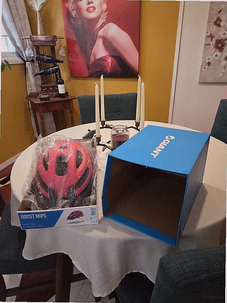 Brand New Giant Roost MIPS Mens Large Bicycle Helmet