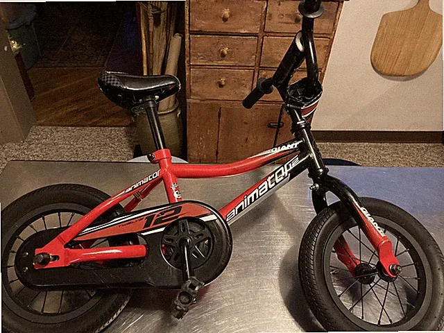 GIANT Animator 12 Toddler Bike