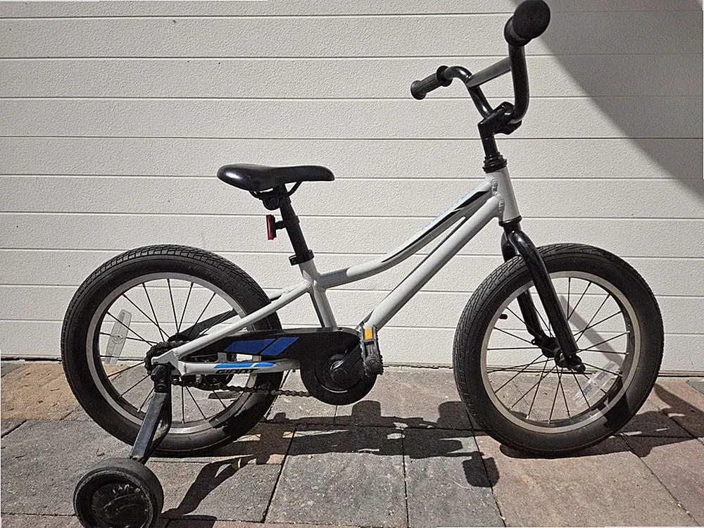 Giant Kids Bike