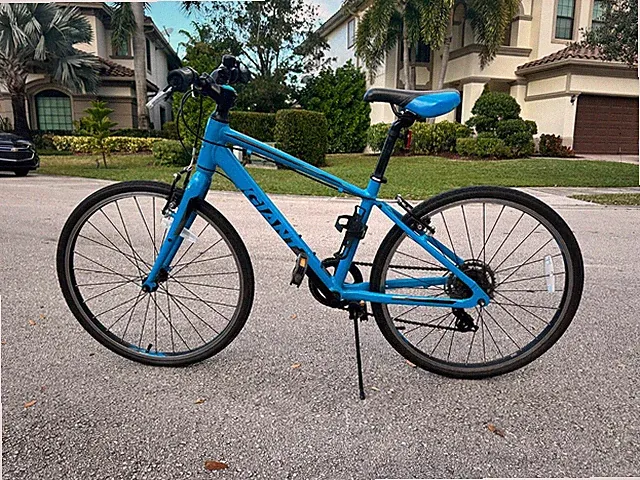 Giant Escape 3, Blue and Black, Road Bike, for Adults and Children