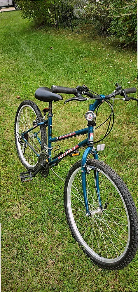 Giant ladies bike
