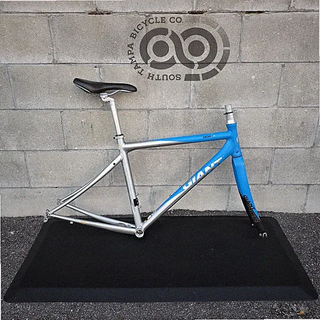 Giant OCR3 Women's Road Bike Frame (Size Small)