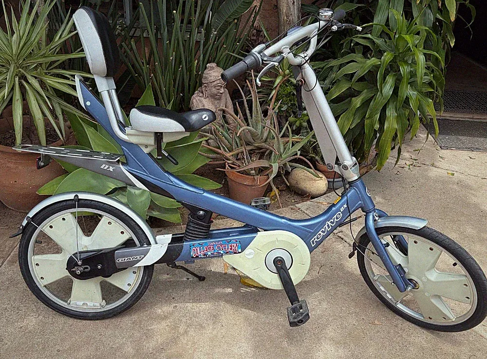 Giant Recumbent Bike