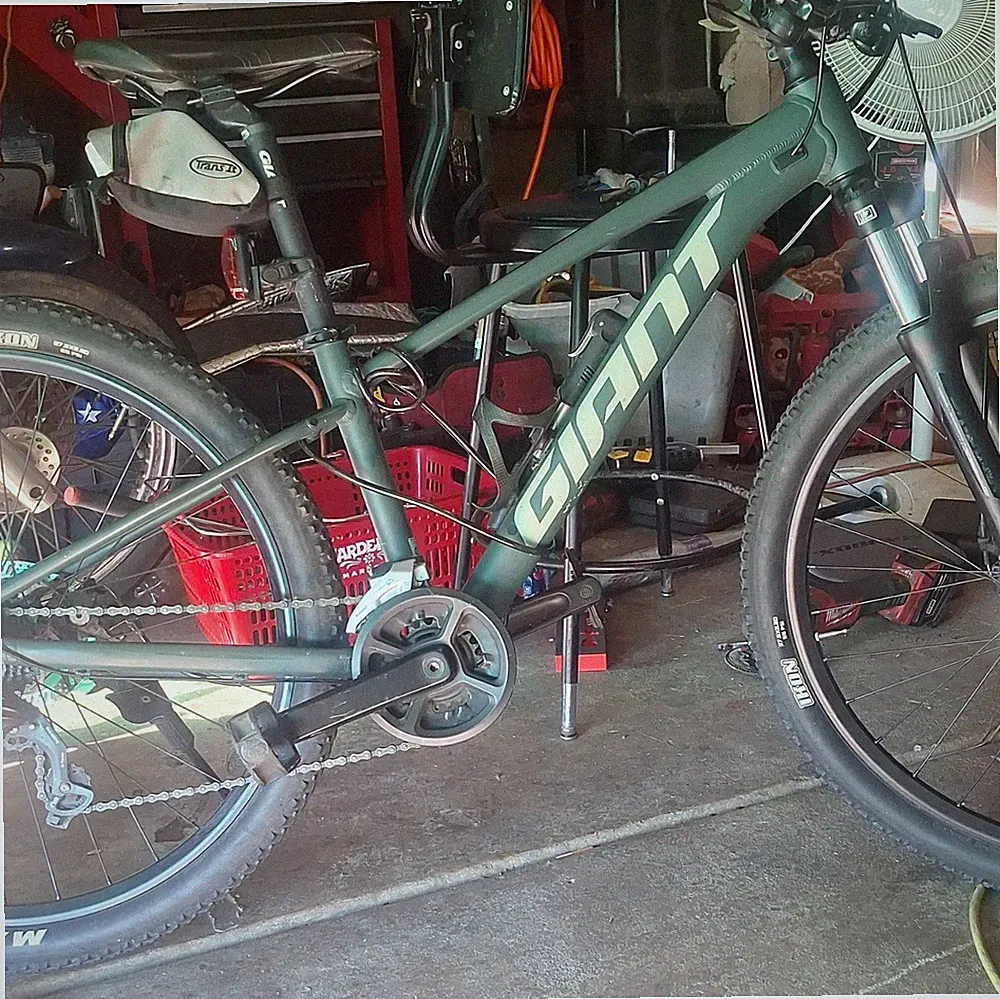 Giant Talon 4 Green Mountain Bike 29in model yr 2022.
