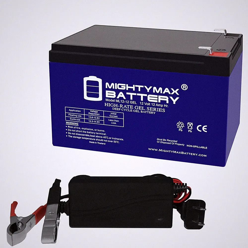 Mighty Max 12V 12AH GEL F2 Replaces Giant LaFree Electric Bicycle + 12V Charger