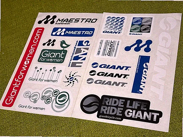 NOS Assorted GIANT BICYCLE Brand Decal Pack MAESTRO SUSPENSION Ride Life WOMEN