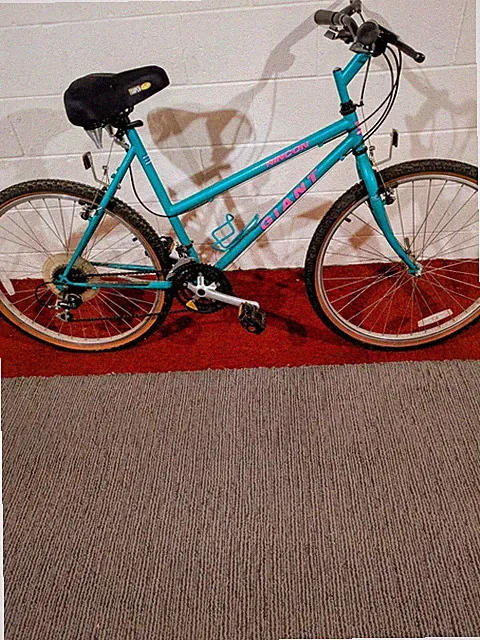 Rincon Giant Mountain Bike