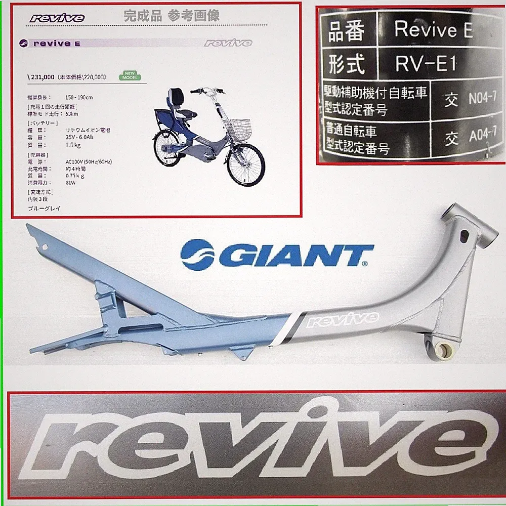 Super Rare Good Condition Rare Good Condition GIANT REVIVE Recumbent Giant
