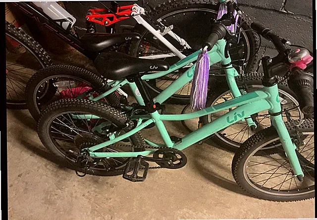 Two 20” GIANT LIV Enchant, NEW Demonstration Bikes,few Minor Blemishes: showroom